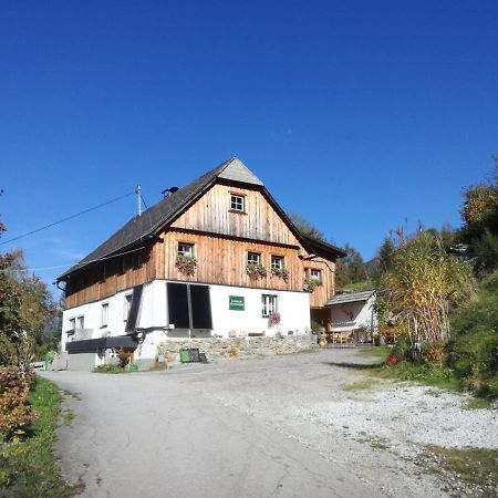 Landhaus Gschmeidler Selzthal 外观 照片